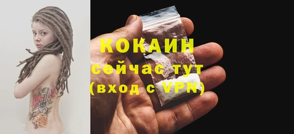 ГАЛЛЮЦИНОГЕННЫЕ ГРИБЫ Белокуриха
