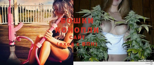 ГАЛЛЮЦИНОГЕННЫЕ ГРИБЫ Белокуриха