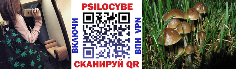 хочу наркоту Барыш Галлюциногенные грибы мухоморы