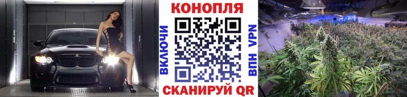 ссылка на мегу как войти  Барыш  Каннабис индика 